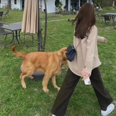 家庭青春